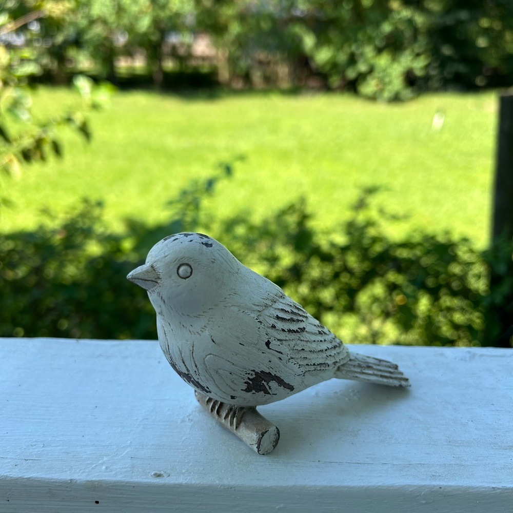 Bird - Picture 5 of 12